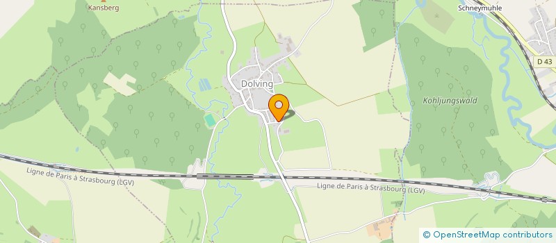 localisation de l'entreprise MADAME FRANCOISE FOING-WITTMANN  DOLVING