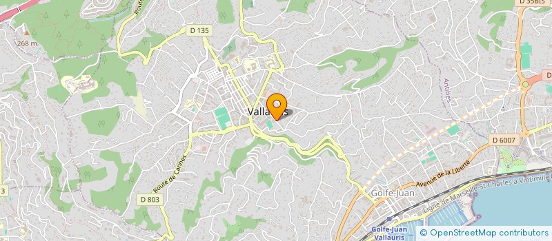 localisation de l'entreprise MADAME FRANCOISE GUEGUEN à VALLAURIS
