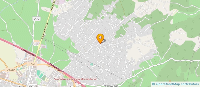 localisation de l'entreprise MADAME FRANCOISE GUIS  SAINT-MAXIMIN-LA-SAINTE-BAUME