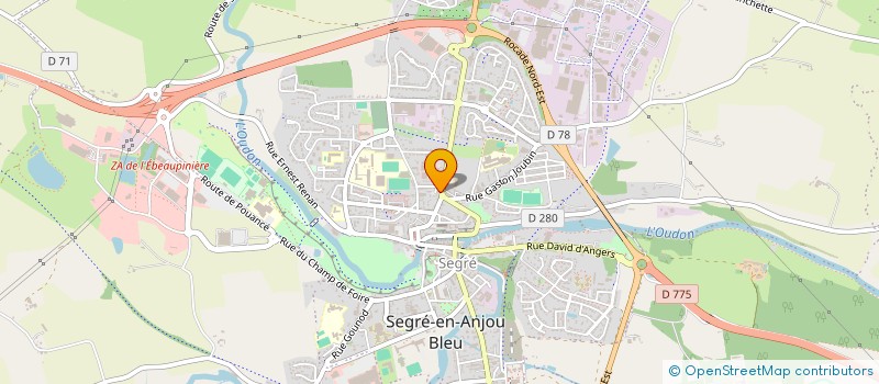 localisation de l'entreprise MADAME FRANCOISE JEUDON à SEGRE-EN-ANJOU BLEU