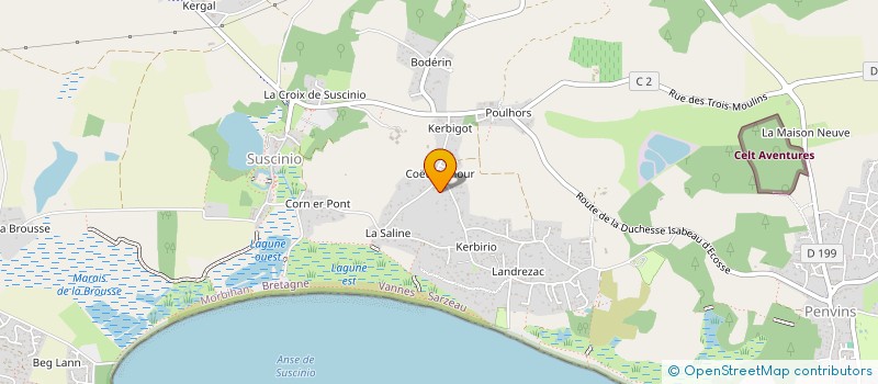 localisation de l'entreprise MADAME FRANCOISE LAIGO  SARZEAU