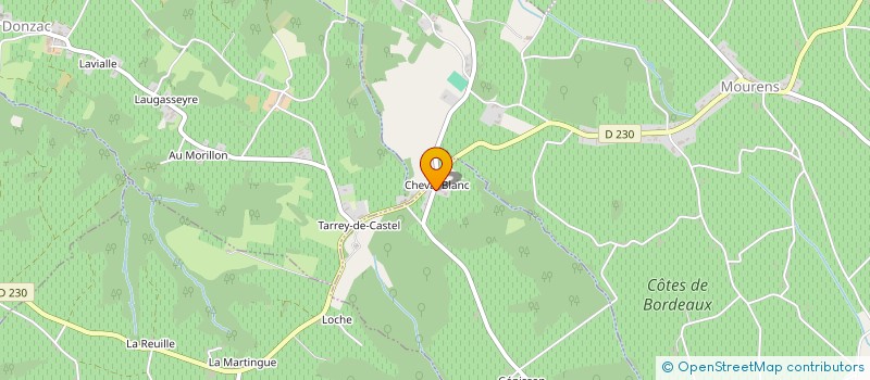 localisation de l'entreprise MADAME FRANCOISE LARRIEU  SAINT-GERMAIN-DE-GRAVE