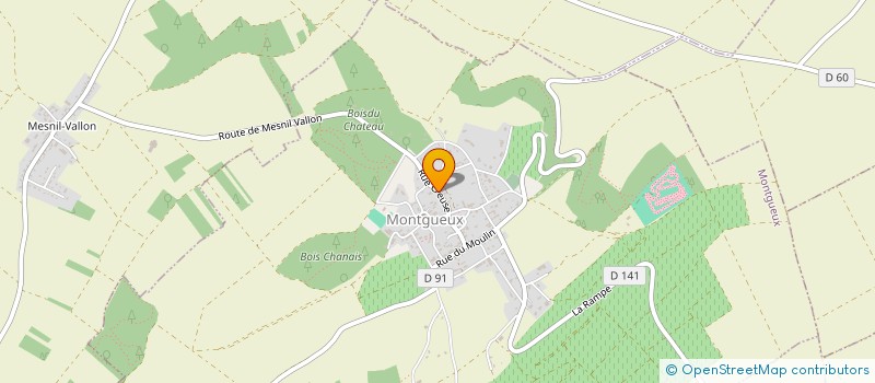 localisation de l'entreprise MADAME FRANCOISE LASSAIGNE  MONTGUEUX