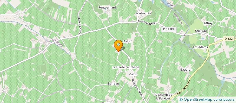 localisation de l'entreprise MADAME FRANCOISE LEYNIER  PUISSEGUIN