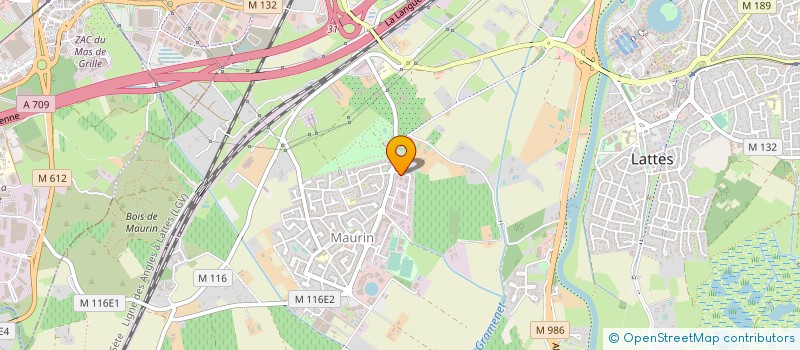 localisation de l'entreprise MADAME FRANCOISE LOPEZ à LATTES