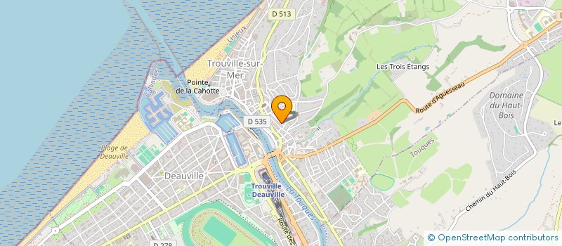 localisation de l'entreprise MADAME FRANCOISE MADELEINE MAXWELL  TROUVILLE-SUR-MER