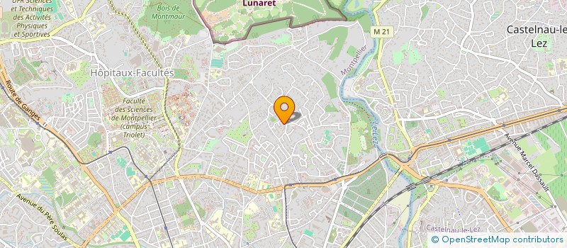 localisation de l'entreprise MADAME FRANCOISE MANCION à MONTPELLIER