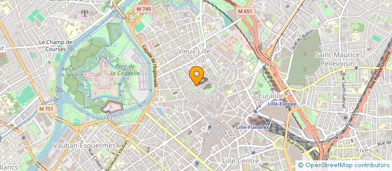 localisation de l'entreprise MADAME FRANCOISE MARTIN  LILLE
