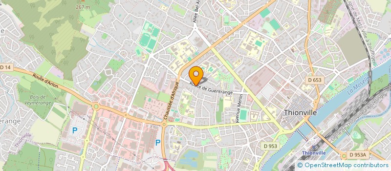 localisation de l'entreprise MADAME FRANCOISE MASSON  THIONVILLE