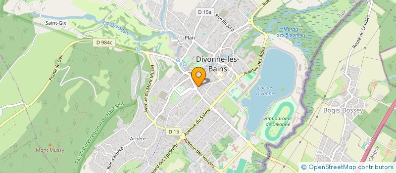 localisation de l'entreprise MADAME FRANCOISE MAZUIR à DIVONNE-LES-BAINS