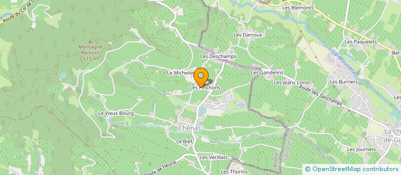 localisation de l'entreprise MADAME FRANCOISE MEZIAT  CHENAS