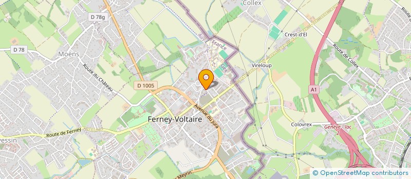 localisation de l'entreprise MADAME FRANCOISE MICHEL à FERNEY-VOLTAIRE