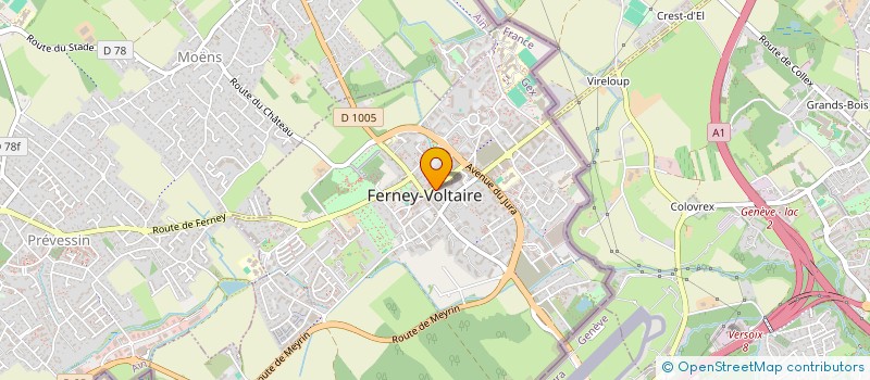 localisation de l'entreprise MADAME FRANCOISE MONTMASSON à FERNEY-VOLTAIRE
