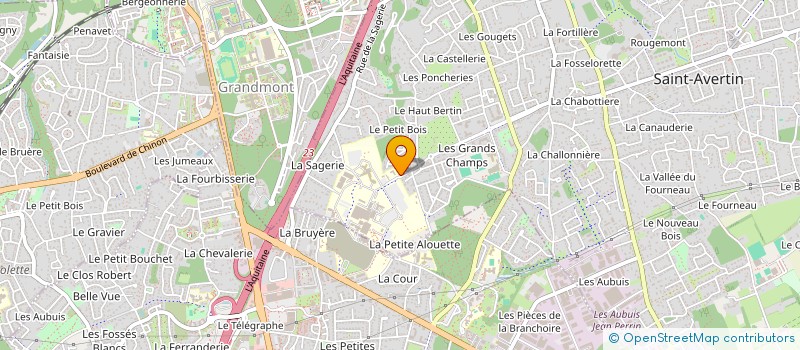 localisation de l'entreprise MADAME FRANCOISE NIQUE  SAINT-AVERTIN