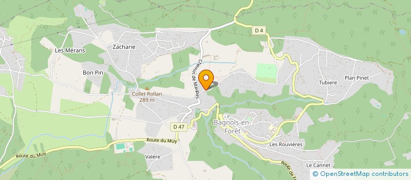 localisation de l'entreprise MADAME FRANCOISE OLIVARI  BAGNOLS-EN-FORET