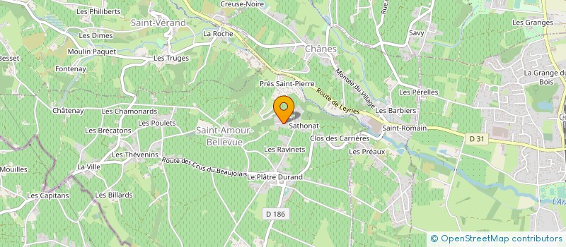 localisation de l'entreprise MADAME FRANCOISE PATISSIER à SAINT-AMOUR-BELLEVUE