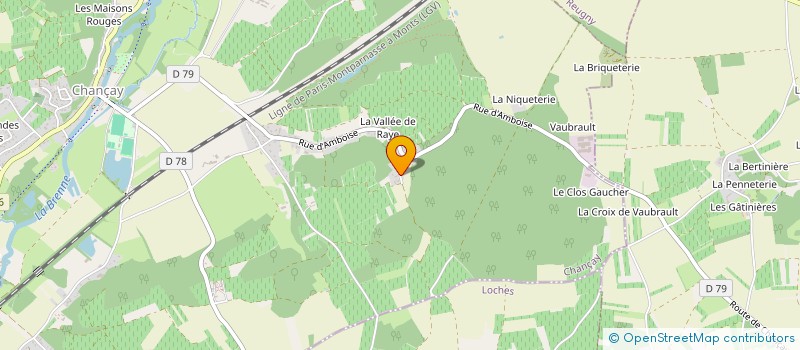 localisation de l'entreprise MADAME FRANCOISE PELLETIER  ROCHECORBON