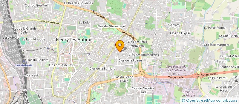 localisation de l'entreprise MADAME FRANCOISE PERRAUDIN  ORLEANS