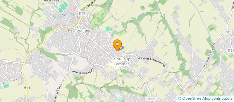 localisation de l'entreprise MADAME FRANCOISE RAYNAUD  SAINT-LOUP-CAMMAS