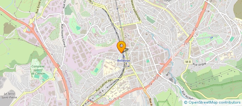 localisation de l'entreprise MADAME FRANCOISE TOMASINI  SAINT-ETIENNE