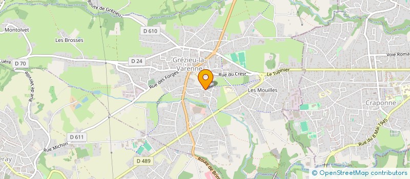 localisation de l'entreprise MADAME FRANCOISE VAZILLE  GREZIEU-LA-VARENNE