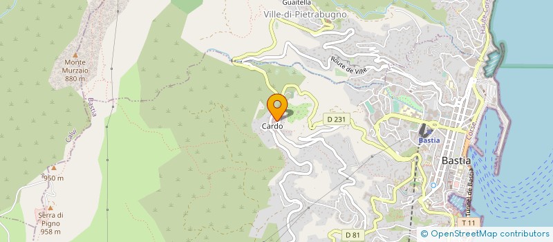 localisation de l'entreprise MADAME FRANCOISE VENDASI à BASTIA