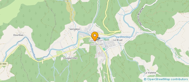 localisation de l'entreprise MADAME FRANCOISE VERGUES  SAINT-JEAN-DU-BRUEL