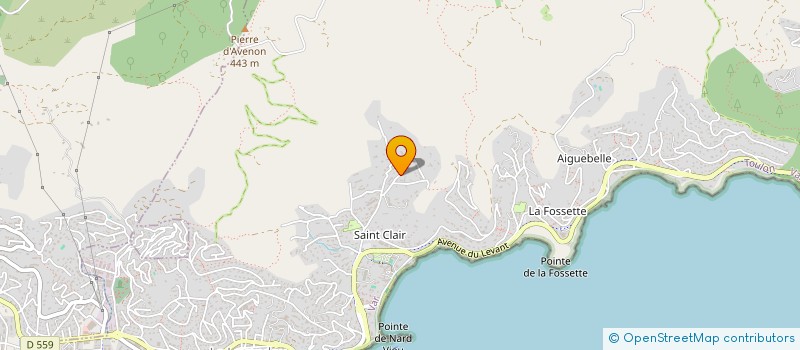 localisation de l'entreprise MADAME FRANCOISE VIDAL à LE LAVANDOU