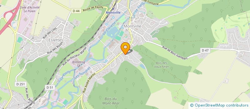 localisation de l'entreprise MADAME FRANCOISE VIGOUREUX  MONTVILLE