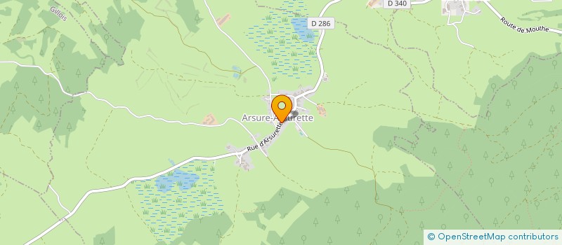 localisation de l'entreprise MADAME FRANCOISE VILLALONGA  ARSURE-ARSURETTE