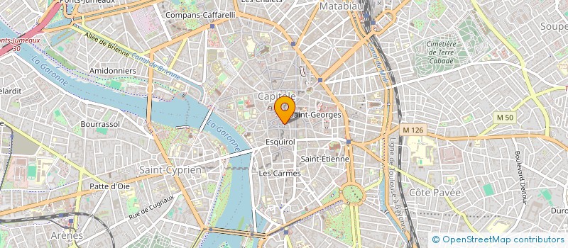 localisation de l'entreprise MADAME FREDERIQUE BUIUM à TOULOUSE