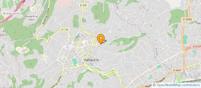 localisation de l'entreprise MADAME FREDERIQUE CAUDAL à VALLAURIS