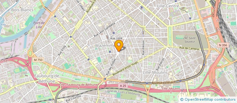 localisation de l'entreprise MADAME FREDERIQUE DELFANNE à LILLE