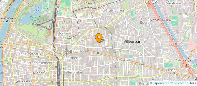 localisation de l'entreprise MADAME FREDERIQUE DI TULLIO  VILLEURBANNE