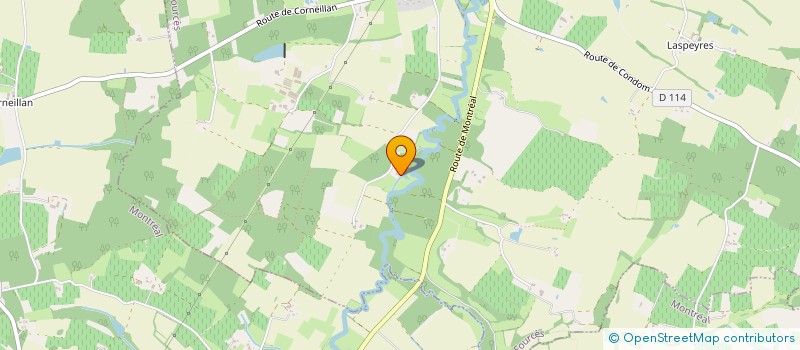 localisation de l'entreprise MADAME FREDERIQUE DROUILLAT  CASTELNAU D'AUZAN LABARRERE