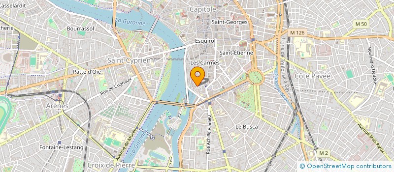 localisation de l'entreprise MADAME FREDERIQUE DUCROHET  TOULOUSE