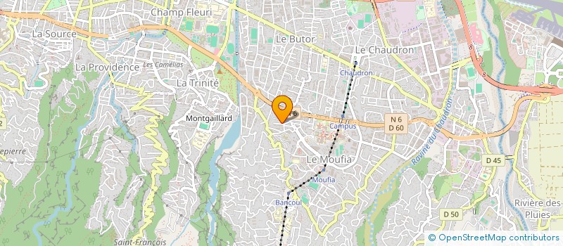 localisation de l'entreprise MADAME FREDERIQUE FOLIO  SAINT-DENIS