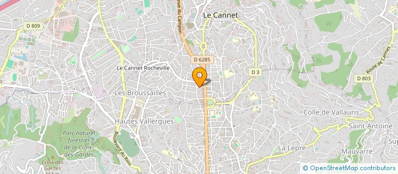 localisation de l'entreprise MADAME FREDERIQUE JORDAN à LE CANNET