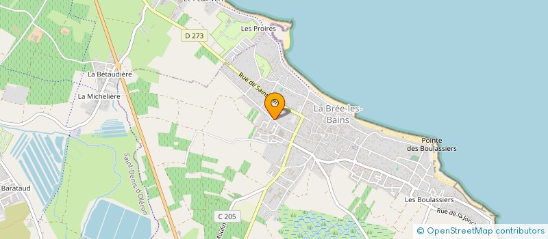 localisation de l'entreprise MADAME FREDERIQUE LE DIOURIS  LA BREE-LES-BAINS