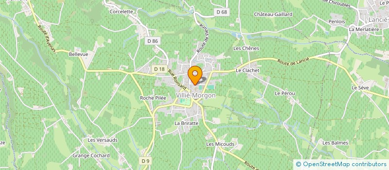 localisation de l'entreprise MADAME FREDERIQUE MOLINA  LYON