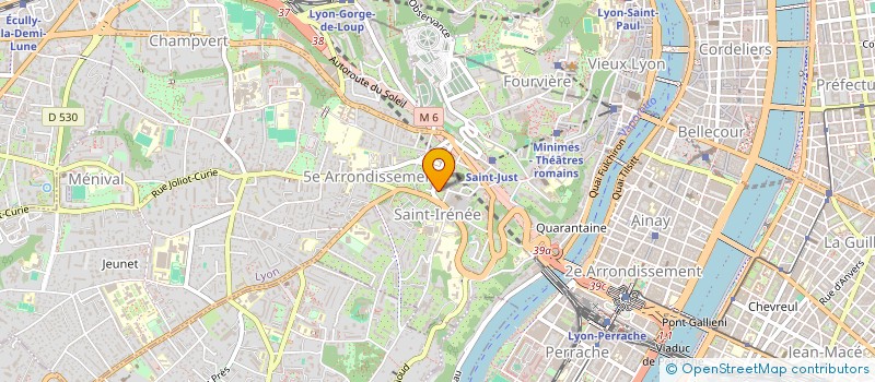 localisation de l'entreprise MADAME FREDERIQUE NAUDIN à LYON