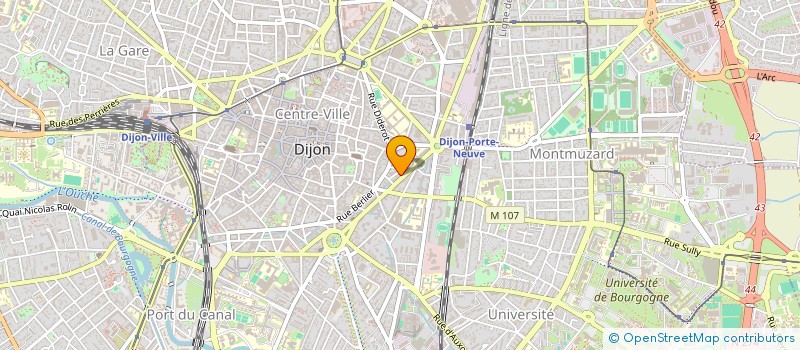 localisation de l'entreprise MADAME FREDERIQUE TOUSSENEL à DIJON