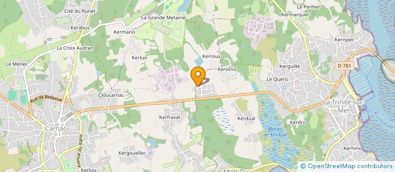 localisation de l'entreprise MADAME FREDERIQUE TOUTAIN  LE MANS