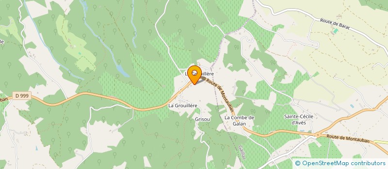 localisation de l'entreprise MADAME FREDERIQUE VIGNE à LISLE-SUR-TARN