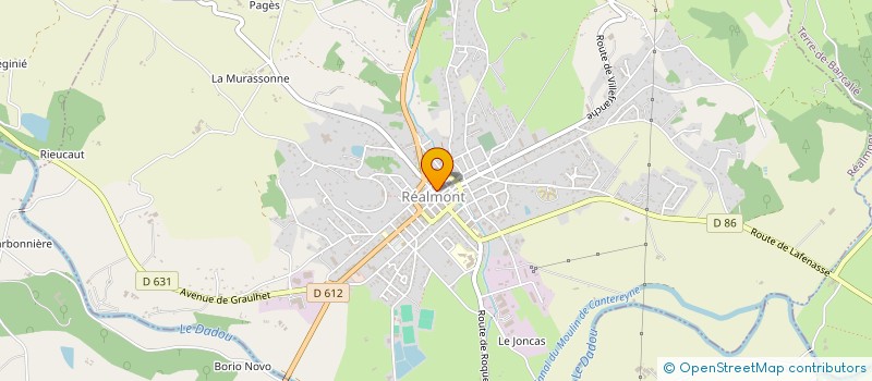 localisation de l'entreprise MADAME FREDERIQUE ZERMANI  REALMONT