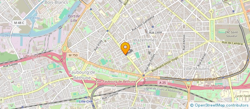 localisation de l'entreprise MADAME FUKA MASUAKA à LILLE