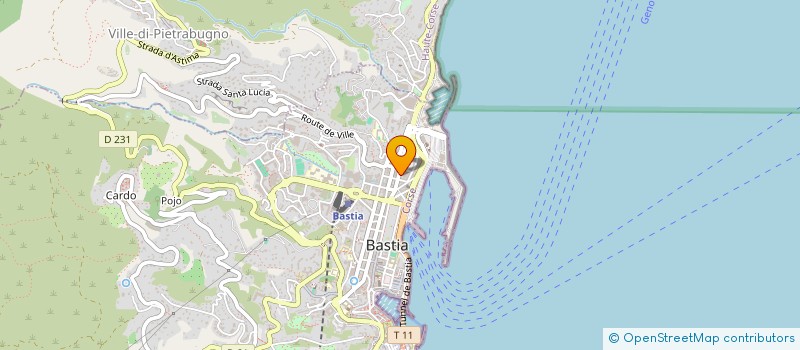 localisation de l'entreprise MADAME G MAZZON à BASTIA