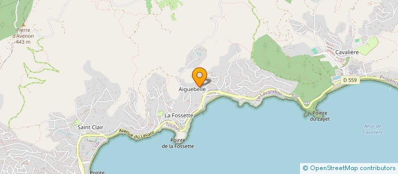 localisation de l'entreprise MADAME GABRIELE SCHLESINGER à LE LAVANDOU