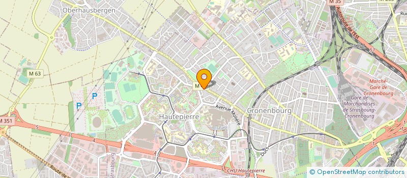 localisation de l'entreprise MADAME GABRIELLE BENEVOLENZA à STRASBOURG
