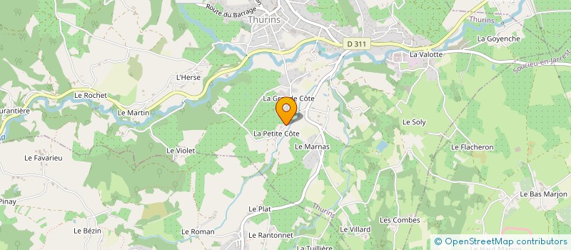 localisation de l'entreprise MADAME GABRIELLE FLEURISSON  THURINS